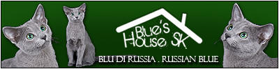 Blue's house